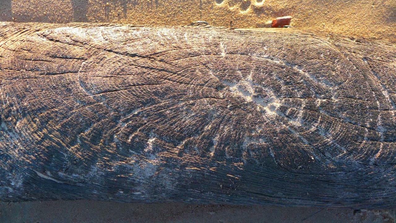 فندق Provincija بالانغا المظهر الخارجي الصورة